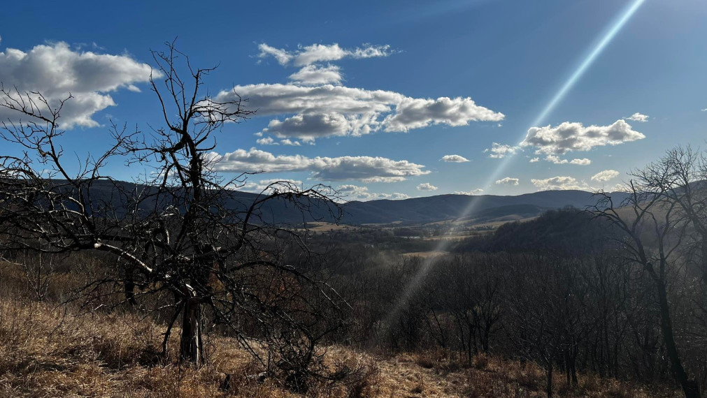 22 árový pozemok pri obci Jabloňov