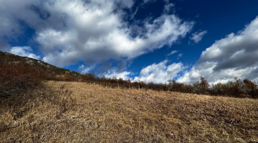 22 árový pozemok pri obci Jabloňov